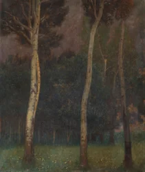 Paisagem das Árvores da Baixa Áustria
