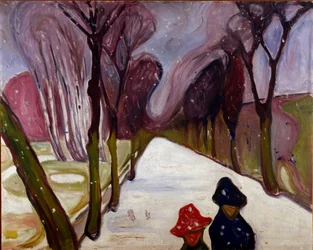 Allee em um redemoinho de neve