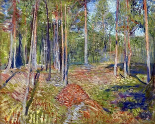 Pine Forest - Pintura por Edvard Munch (1863-1944)