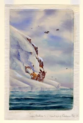 Cabo Wadsworth, Ilha Coulman (wc no papel)