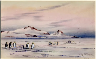 O Discovery Winter Quarters, c.1901-04 (wc no papel)