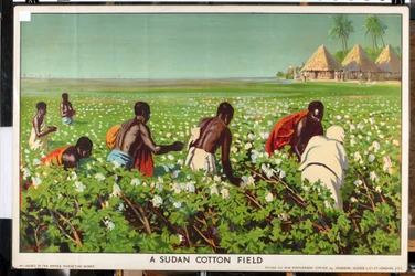 Um campo de algodão do Sudão, da série "Empire Trade is Growing" (litografia a cores)