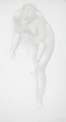 Nu feminino curvado