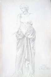 Estudo de Minerva