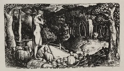 Vida Pastoral Ideal