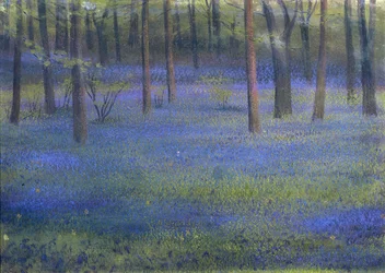 Bluebell Wood (pastel sobre papel)