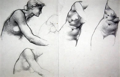 The Tree of Forgiveness - Estudo para a figura de Phyllis, c.1882 (lápis sobre papel)