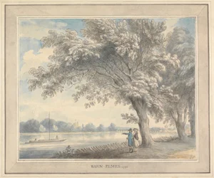 Olmos de criança