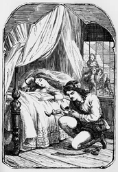O Caçador Experiente, 1901