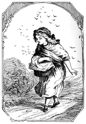 A Casa na Madeira, 1901