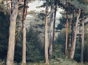 Castelo Lambert