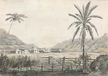 Uma Vista de Hall-head Sugar Plantation, Jamaica