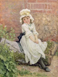 O Novo Amigo, 1880 (wc aumentado com branco)