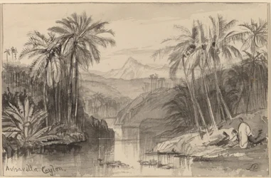 Avisavella, Ceilão, 18841885.