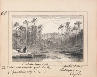 Ilustração para "You Ask Me Why" de Tennyson: Areka Palms, Ratanapooru, Ceilão - "Verei antes de morrer as palmeiras e os templos do Sul