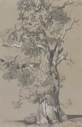 Parham, Outubro.13.1834