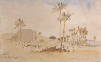 Tapha, 7:50 a.m., 17 de fevereiro de 1867