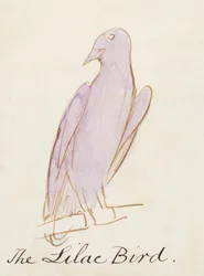 O Pássaro Lilás, dos Dezesseis Desenhos das Aves Comuns (caneta e tinta wc no papel)
