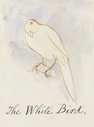 O Pássaro Branco, dos Dezesseis Desenhos das Aves Comuns (caneta e tinta wc no papel)
