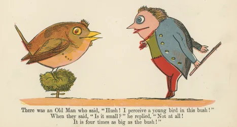 Houve um velho que disse: &39;Silêncio! Eu percebo um pássaro jovem neste arbusto! &39;, De&39; A Book of Nonsense &39;, publicado por Frederick Warne and Co., Londres, c.1875