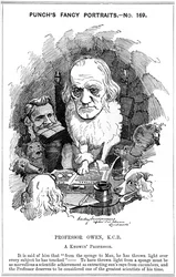 Richard Owen, zoólogo inglês, 1884