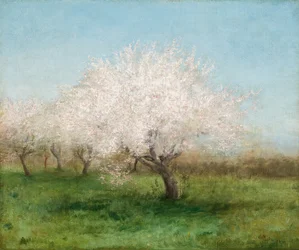 Macieiras num prado 1890 (Óleo sobre tela)