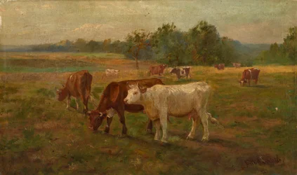 Vacas, s.d.