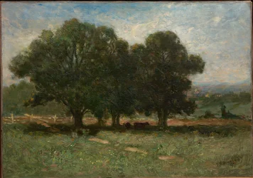 Paisagem
