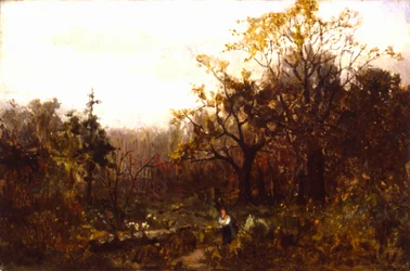 Floresta.