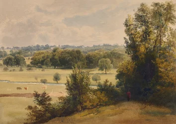 Paisagem de árvores e campos