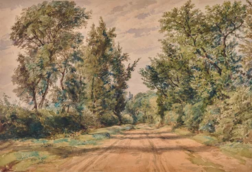 paisagem com estrada