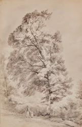 Paisagem com árvores