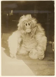 Na máscara de lobo