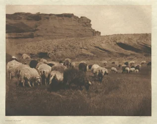 Portfolio I, Placa 33: Bandos Navaho