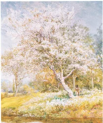 Recolha de flores, de revista ou livro de fonte desconhecida (cor litho)