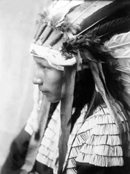 Cheyenne girl, The Daughter of Bad Horse (perfil), c. 1905, foto Edward S. Curtis