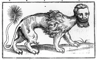 Manticore de "Historie of Foure-Footed Beastes", de Edward Topsell, publicado em 1607