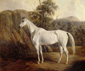 Bolívia, 1836