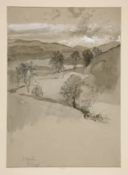 Paisagem - Campos