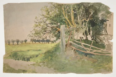 Paisagem com árvores e cerca quebrada