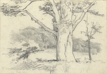 No. Lyndhurst, Ago. 1871