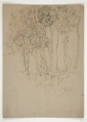 Esboço de um bosque de árvores