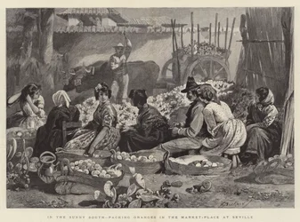 No ensolarado sul, embalando laranjas no mercado-lugar em Sevilha