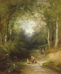 Um caminho através da madeira