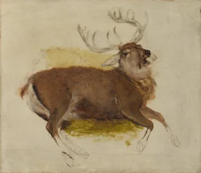 Morrendo Stag, ca. 1830