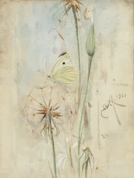 Borboleta e Cardo (aquarela)