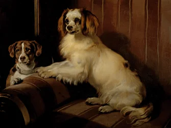 Bon(e)y e Var, c.1843 (óleo sobre tela)