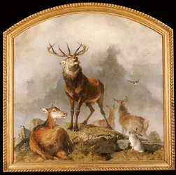 Cena em Braemar - Highland Deer