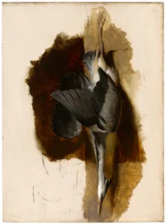 Estudo de uma garça morta, c.1832-33