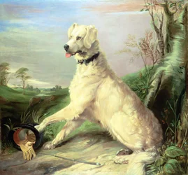 À espera do mestre (óleo sobre tela)